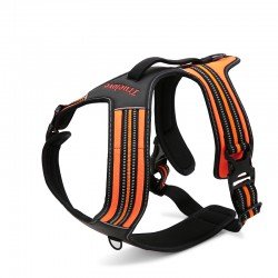 Peitoral para cães Truelove Forest - TLH5551