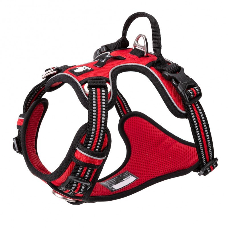 Peitoral para cães Truelove Country + - TLH56512