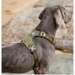 Peitoral para cães Truelove Colorado - TLH6281