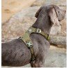 Peitoral para cães Truelove Colorado - TLH6281
