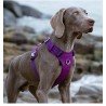 Peitoral para cães Truelove Colorado - TLH6281