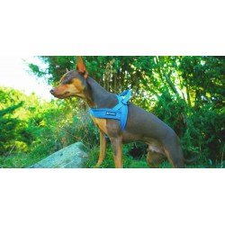 Peitoral para cães Truelove Alaska - TLH5811