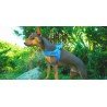 Peitoral para cães Truelove Alaska - TLH5811