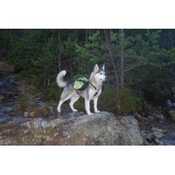 Peitoral para cães Truelove Excursion - TLB2051