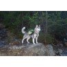 Peitoral para cães Truelove Excursion - TLB2051