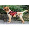 Peitoral para cães Truelove Excursion - TLB2051