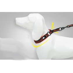 Coleira para cães Truelove Stop - TLC5371