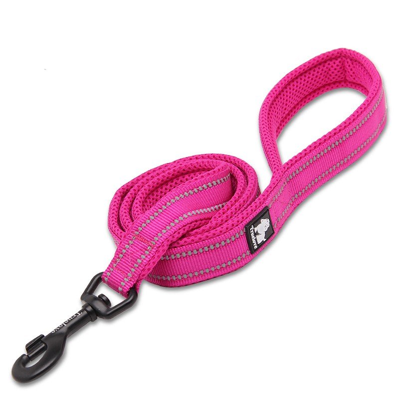 Guia para cães Truelove Walking - TLL2111