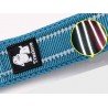 Guia para cães Truelove Walking - TLL2111