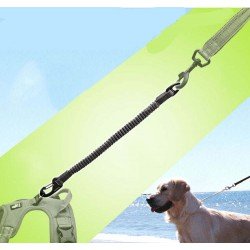 Truelove Extension dog Leash - TLL2971