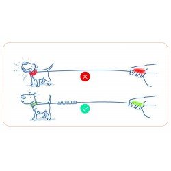 Truelove Extension dog Leash - TLL2971
