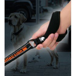 Truelove Pull + Coleira para cães - TLL3071
