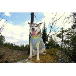Jaqueta Truelove Summer Sun para cães - TLG2511