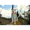 Jaqueta Truelove Summer Sun para cães - TLG2511