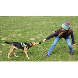Bolsa de treinamento para cães Truelove Dog Club - TLT1951