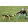 Bolsa de treinamento para cães Truelove Dog Club - TLT1951