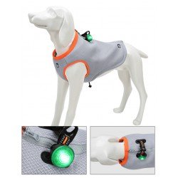 Luzes LED Truelove para coleiras, guias e peitorais para cães - TLD19101