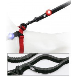 Luzes LED Truelove para coleiras, guias e peitorais para cães - TLD19101