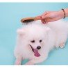 Escova de bambu energética para cães Truelove - TLK19131