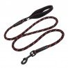 Truelove Corrida + Coleira para cachorro - TLL2571